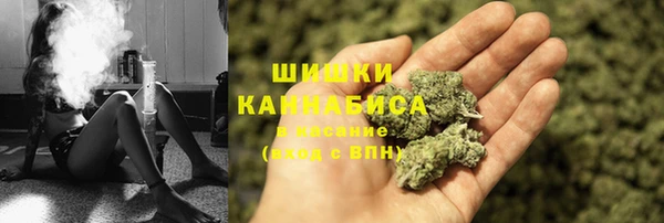 стаф Пестово