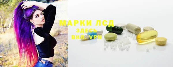 стаф Пестово