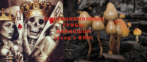 стаф Пестово
