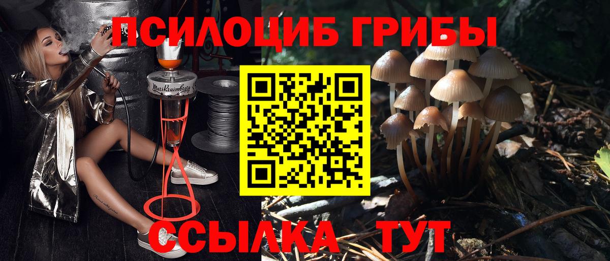 Галлюциногенные грибы ЛСД Кольчугино