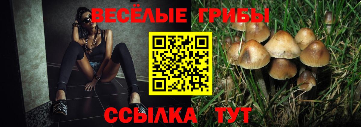 что такое наркотик  Кольчугино  Псилоцибиновые грибы Magic Shrooms 